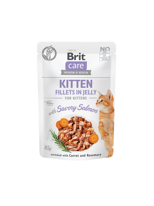 Brit Care Kitten Savory Salmon in Jelly 85 G Wet Cat Food